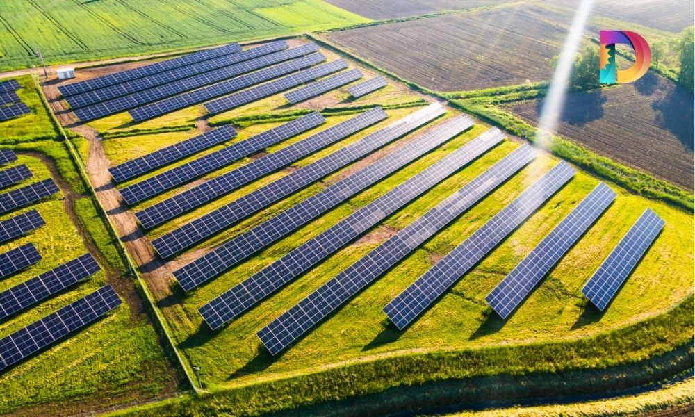 Cómo los Paneles Solares están Transformando la Industria Energética