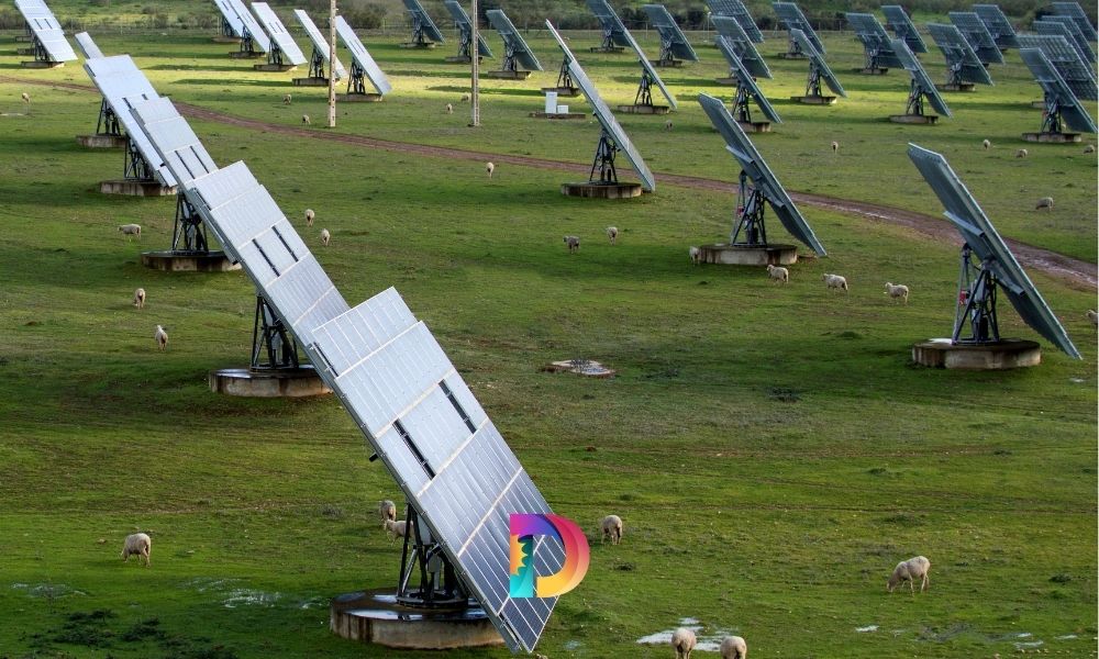 Energía Solar Comercial: Inversión Inteligente, Futuro Sostenible