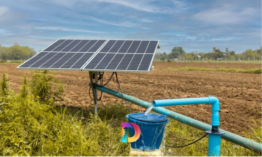 Paneles solares: una solución renovable para el futuro energético