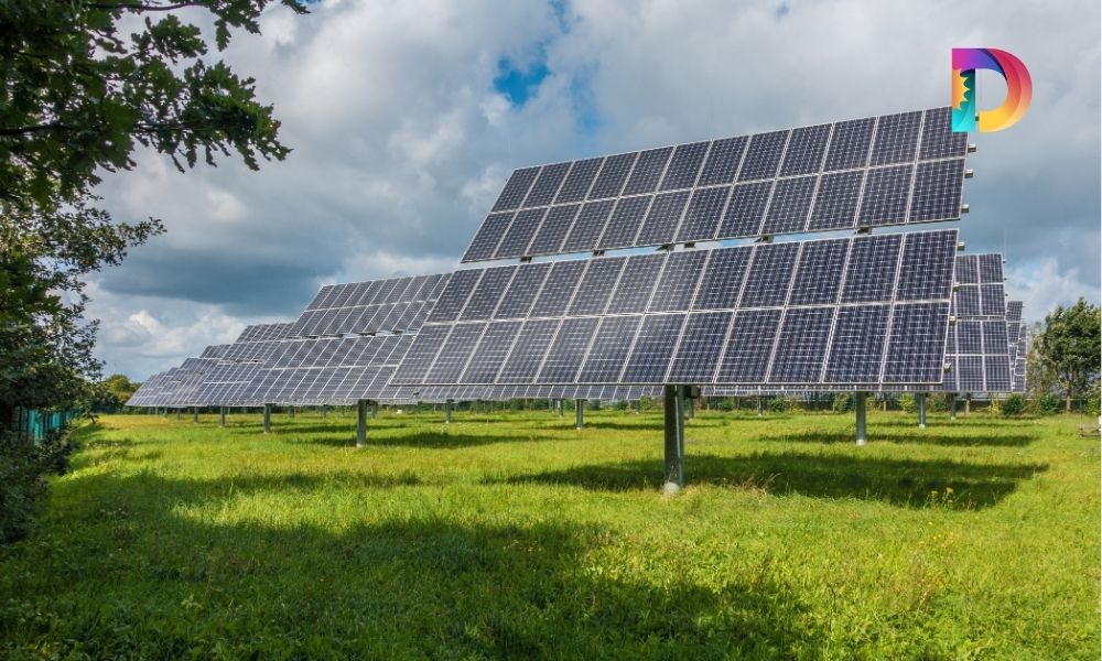 Paneles solares y agricultura: Cómo la energía solar puede impulsar la producción de alimentos